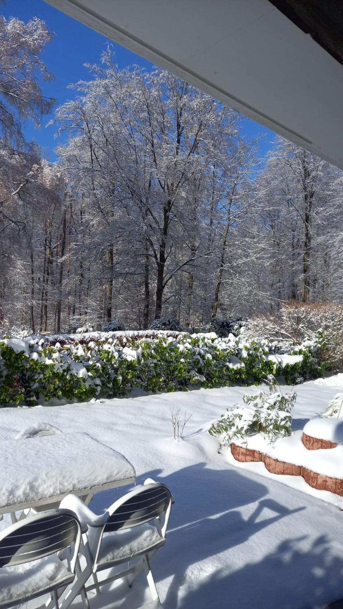 شقة Haus Am Wald Hillscheid المظهر الخارجي الصورة