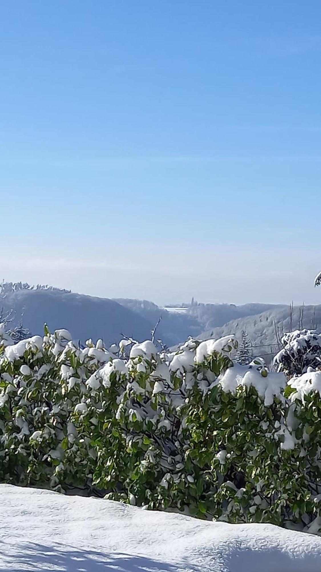 شقة Haus Am Wald Hillscheid المظهر الخارجي الصورة