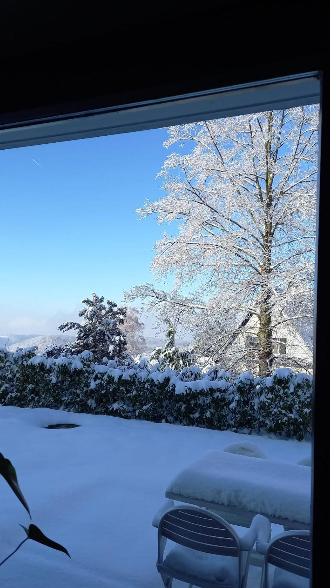 شقة Haus Am Wald Hillscheid المظهر الخارجي الصورة