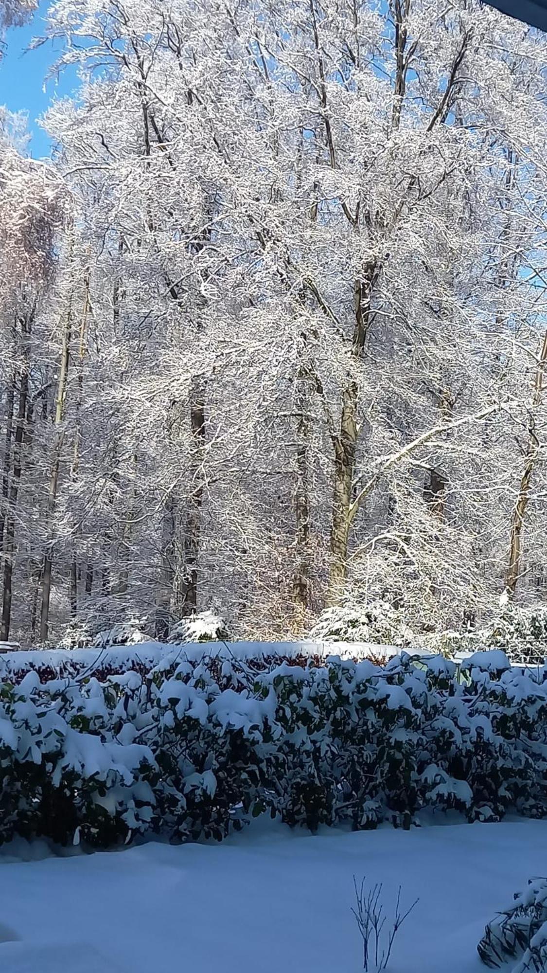 شقة Haus Am Wald Hillscheid المظهر الخارجي الصورة