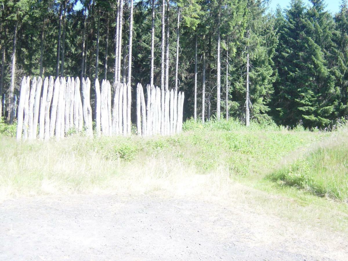 شقة Haus Am Wald Hillscheid المظهر الخارجي الصورة